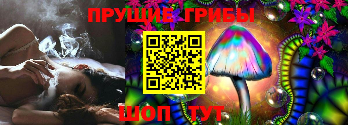 Новочебоксарск  Псилоцибиновые грибы GOLDEN TEACHER  Псилоцибиновые грибы мицелий  Вход с VPN 